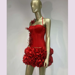 Leila's lovely red dress